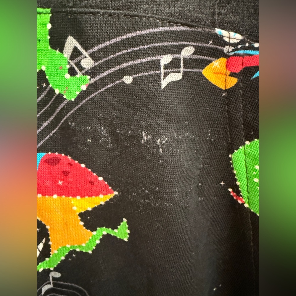 Disney 50th Anniversary Main Street Electrical Parade HoodieShorts set Ladies XL - Picture 6 of 11